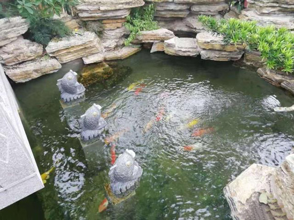 別墅花園設(shè)計(jì)里添加個(gè)魚池設(shè)計(jì)怎么樣？