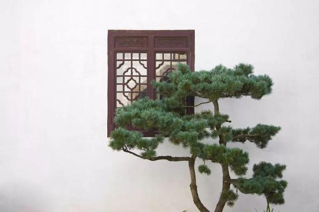 驚艷世界的中式庭院，美哭了！